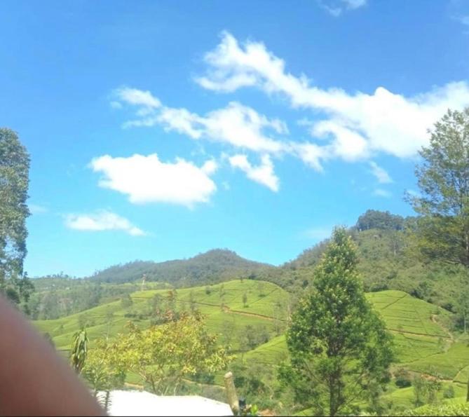 נוארה אליה Nuwaraeliya Penthouse Apartment With Pool & Panaromic Views מראה חיצוני תמונה